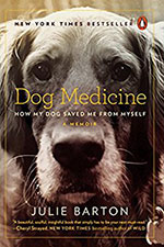 DogMedicine