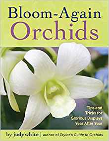Bloom Again Orchids by Judy White