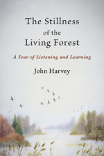 stillness-of-the-living-forest