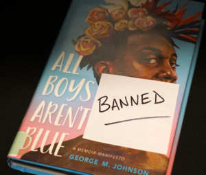 All Boys Aren't Blue banned