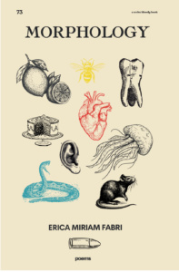 MORPHOLOGY by Erica Miriam Fabri